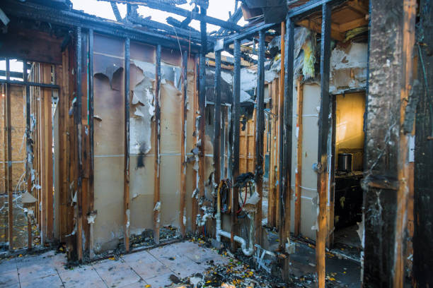 Professional Fire Damage Assessment technician working in Lakeland, FL
